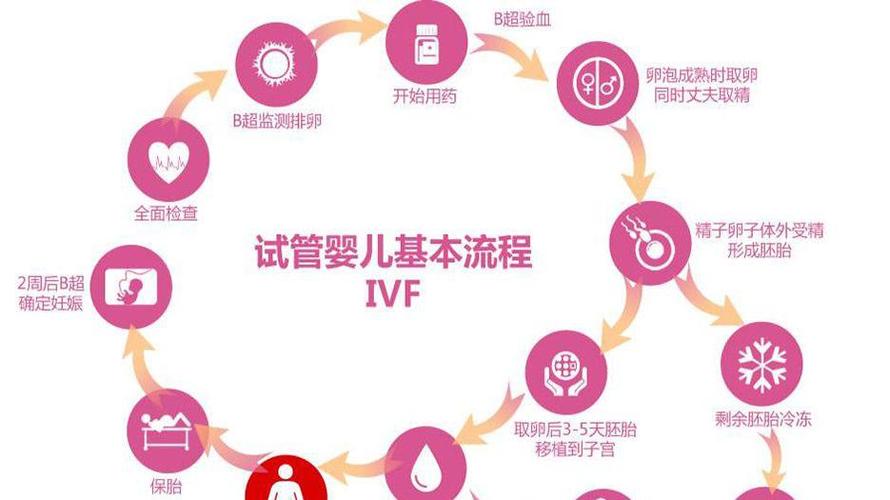 一岁三代供卵试管婴儿宝宝用什么奶嘴