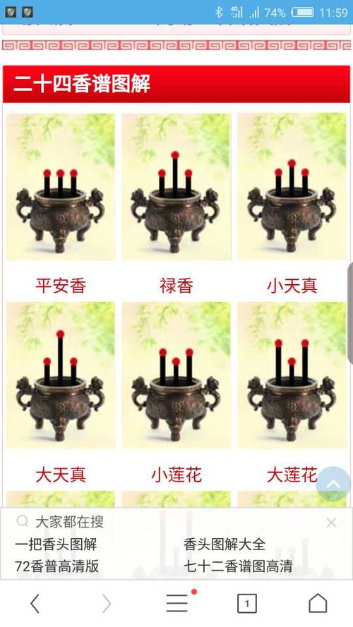 什么是代怀的宝宝香